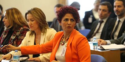 Başkan Boran:Emekliler iktidarı değiştirecek güce sahip